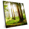 Xxl Wandbild Waldbach Im Sonnenschein Quadrat Produktvorschau Seitlich