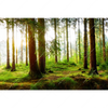 Xxl Wandbild Waldbach Im Sonnenschein Querformat Motivvorschau