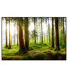 Xxl Wandbild Waldbach Im Sonnenschein Querformat Produktvorschau Frontal