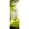 Xxl Wandbild Waldbach Im Sonnenschein Schmal Motivvorschau