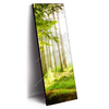 Xxl Wandbild Waldbach Im Sonnenschein Schmal Produktvorschau Seitlich