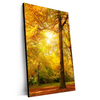 Xxl Wandbild Waldlandschaft Im Herbst Hochformat Produktvorschau Seitlich