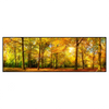 Xxl Wandbild Waldlandschaft Im Herbst Panorama Produktvorschau Frontal