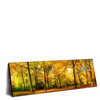 Xxl Wandbild Waldlandschaft Im Herbst Panorama Produktvorschau Seitlich