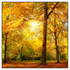 Xxl Wandbild Waldlandschaft Im Herbst Quadrat Produktvorschau Frontal