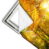 Xxl Wandbild Waldlandschaft Im Herbst Querformat Materialvorschau