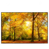 Xxl Wandbild Waldlandschaft Im Herbst Querformat Produktvorschau Frontal