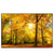 Xxl Wandbild Waldlandschaft Im Herbst Querformat Produktvorschau Frontal