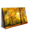 Xxl Wandbild Waldlandschaft Im Herbst Querformat Produktvorschau Seitlich