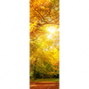 Xxl Wandbild Waldlandschaft Im Herbst Schmal Motivvorschau