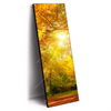 Xxl Wandbild Waldlandschaft Im Herbst Schmal Produktvorschau Seitlich