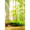 Xxl Wandbild Waldpanorama Hochformat Motivvorschau