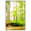 Xxl Wandbild Waldpanorama Hochformat Produktvorschau Frontal