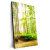 Xxl Wandbild Waldpanorama Hochformat Produktvorschau Seitlich