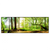 Xxl Wandbild Waldpanorama Panorama Produktvorschau Frontal