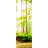 Xxl Wandbild Waldpanorama Schmal Motivvorschau