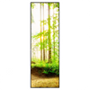 Xxl Wandbild Waldpanorama Schmal Produktvorschau Frontal