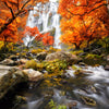 Xxl Wandbild Wasserfall In Herbstlandschaft Quadrat Motivvorschau