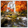 Xxl Wandbild Wasserfall In Herbstlandschaft Quadrat Produktvorschau Frontal