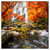 Xxl Wandbild Wasserfall In Herbstlandschaft Quadrat Produktvorschau Frontal