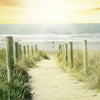 Xxl Wandbild Weg Zum Strand Querformat Zoom