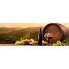 Xxl Wandbild Wein Toscana Panorama Motivvorschau