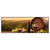 Xxl Wandbild Wein Toscana Panorama Produktvorschau Frontal