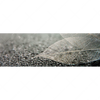 Xxl Wandbild Weisse Blaetter Panorama Motivvorschau
