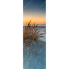 Xxl Wandbild Weisse Duenen Schmal Motivvorschau