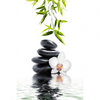 Xxl Wandbild Weisse Orchidee Zensteine Hochformat Motivvorschau
