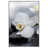 Xxl Wandbild Weisse Orchideen Hochformat Produktvorschau Frontal