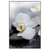 Xxl Wandbild Weisse Orchideen Hochformat Produktvorschau Frontal
