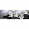 Xxl Wandbild Weisse Orchideen Panorama Motivvorschau