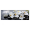 Xxl Wandbild Weisse Orchideen Panorama Produktvorschau Frontal