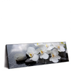 Xxl Wandbild Weisse Orchideen Panorama Produktvorschau Seitlich