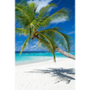 Xxl Wandbild Weisser Strand Kokospalme Hochformat Motivvorschau