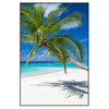 Xxl Wandbild Weisser Strand Kokospalme Hochformat Produktvorschau Frontal