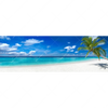 Xxl Wandbild Weisser Strand Kokospalme Panorama Motivvorschau