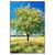 Xxl Wandbild Wiese Mit Bluehendem Baum Hochformat Produktvorschau Frontal