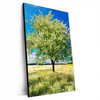 Xxl Wandbild Wiese Mit Bluehendem Baum Hochformat Produktvorschau Seitlich