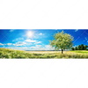 Xxl Wandbild Wiese Mit Bluehendem Baum Panorama Motivvorschau