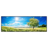 Xxl Wandbild Wiese Mit Bluehendem Baum Panorama Produktvorschau Frontal