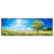 Xxl Wandbild Wiese Mit Bluehendem Baum Panorama Produktvorschau Frontal