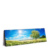 Xxl Wandbild Wiese Mit Bluehendem Baum Panorama Produktvorschau Seitlich