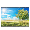 Xxl Wandbild Wiese Mit Bluehendem Baum Querformat Produktvorschau Frontal