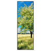 Xxl Wandbild Wiese Mit Bluehendem Baum Schmal Produktvorschau Frontal