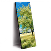 Xxl Wandbild Wiese Mit Bluehendem Baum Schmal Produktvorschau Seitlich