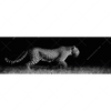 Xxl Wandbild Wilder Leopard Panorama Motivvorschau