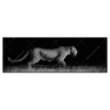 Xxl Wandbild Wilder Leopard Panorama Produktvorschau Frontal
