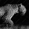 Xxl Wandbild Wilder Leopard Panorama Zoom